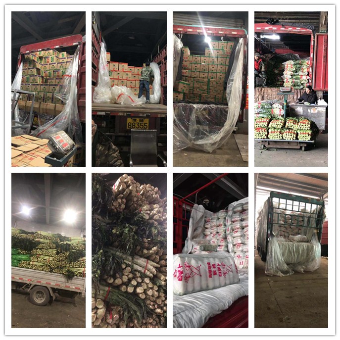 J9旗舰厅(中国区)官方网站