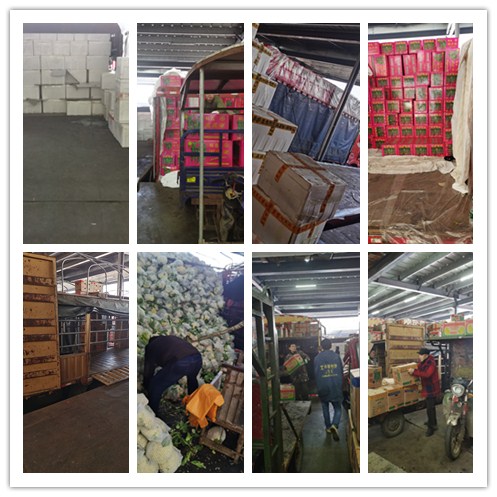 J9旗舰厅(中国区)官方网站