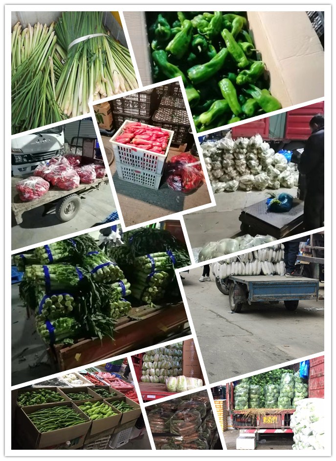 J9旗舰厅(中国区)官方网站