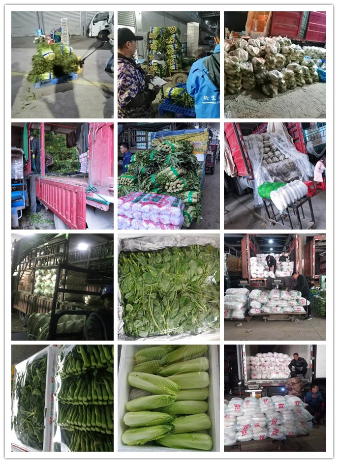 J9旗舰厅(中国区)官方网站