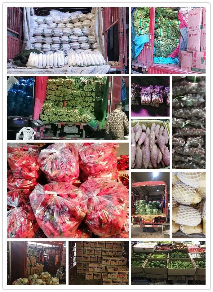 J9旗舰厅(中国区)官方网站