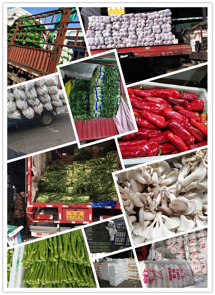 J9旗舰厅(中国区)官方网站