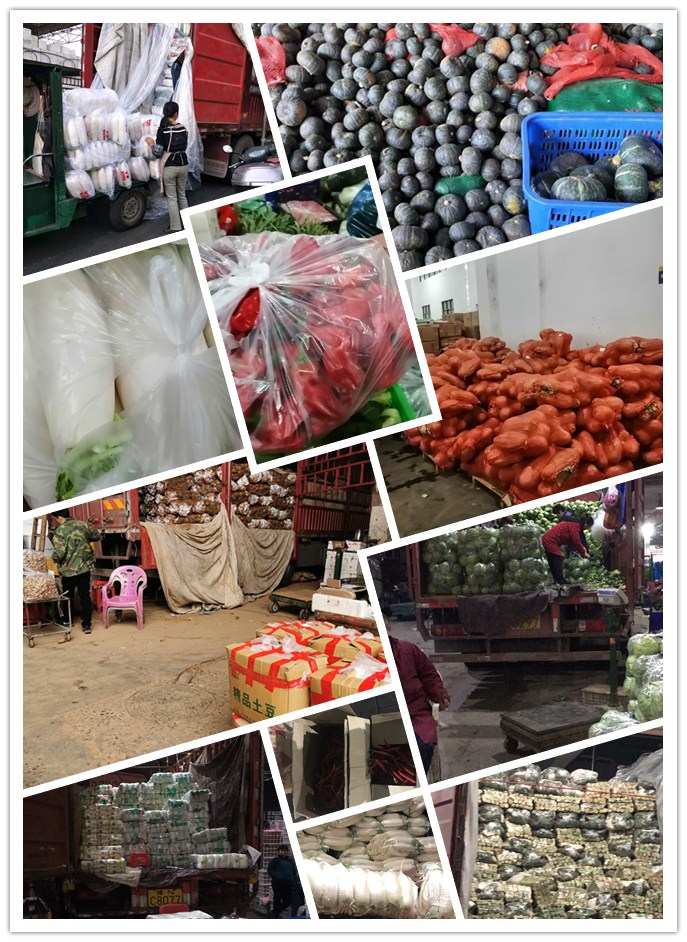 J9旗舰厅(中国区)官方网站