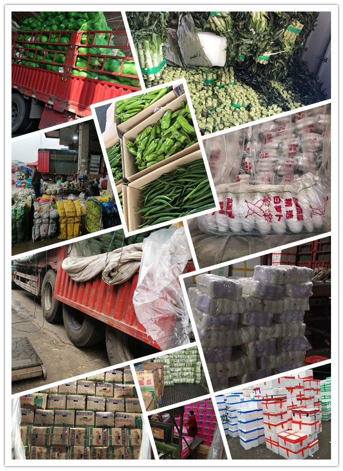 J9旗舰厅(中国区)官方网站