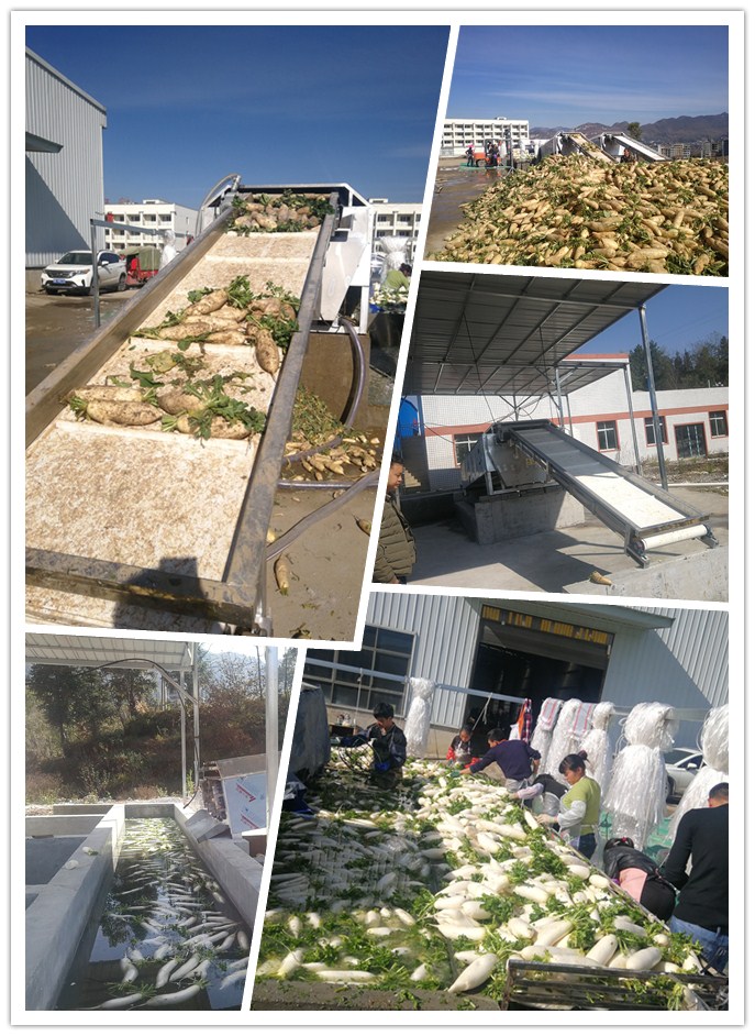 J9旗舰厅(中国区)官方网站