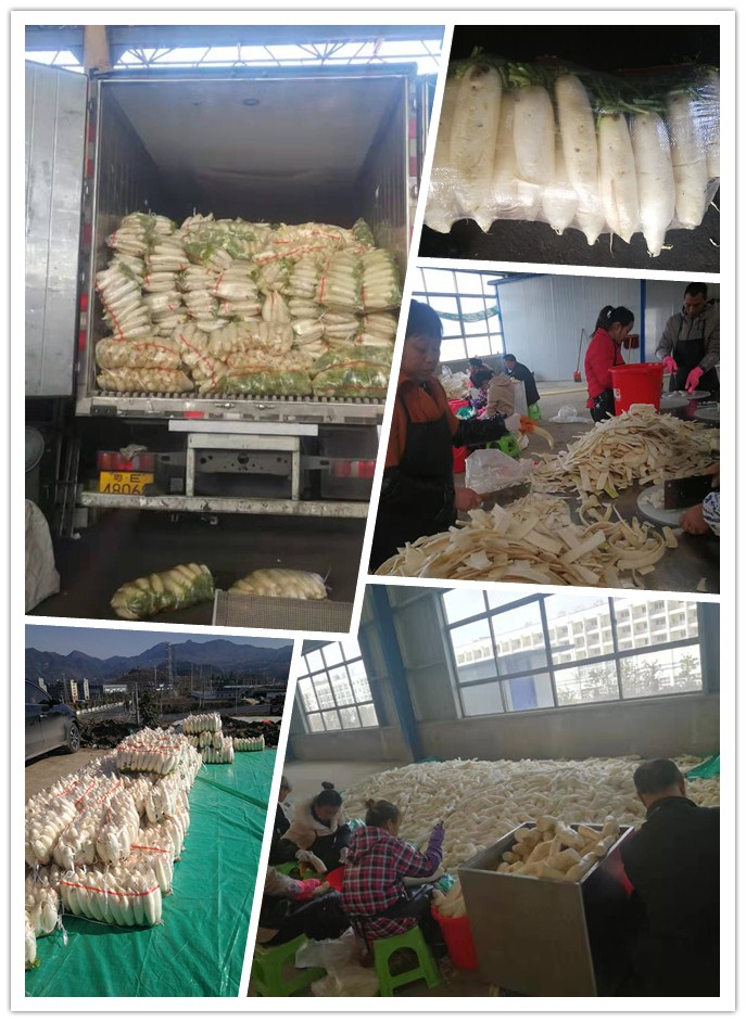 J9旗舰厅(中国区)官方网站