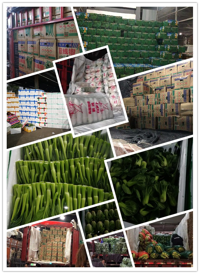 J9旗舰厅(中国区)官方网站