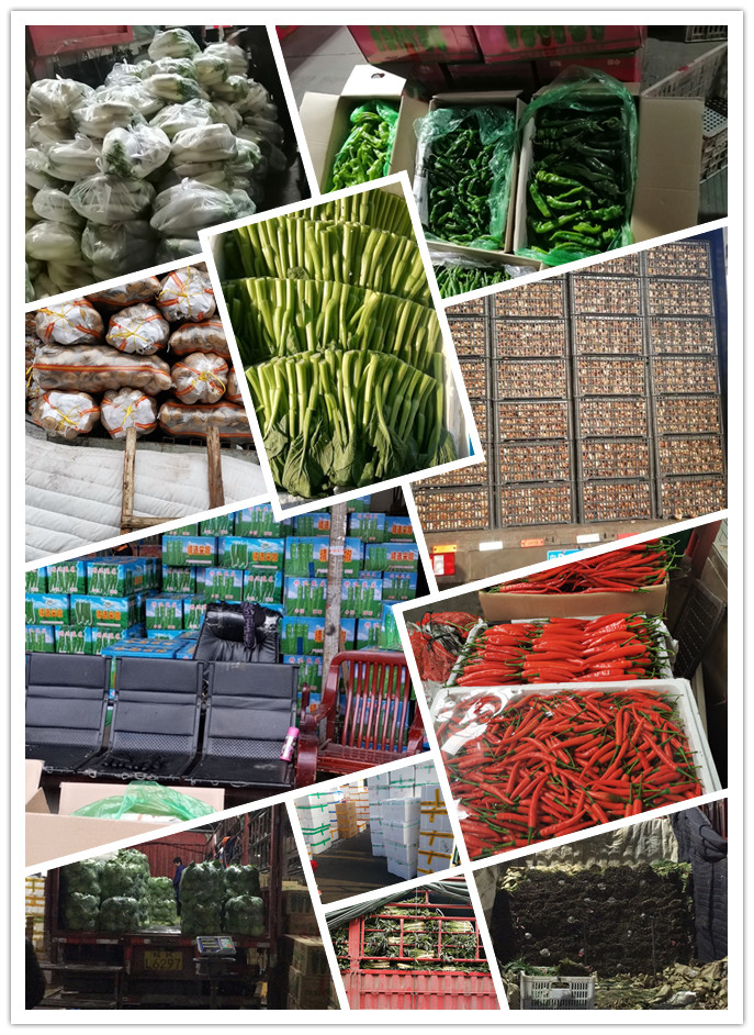 J9旗舰厅(中国区)官方网站