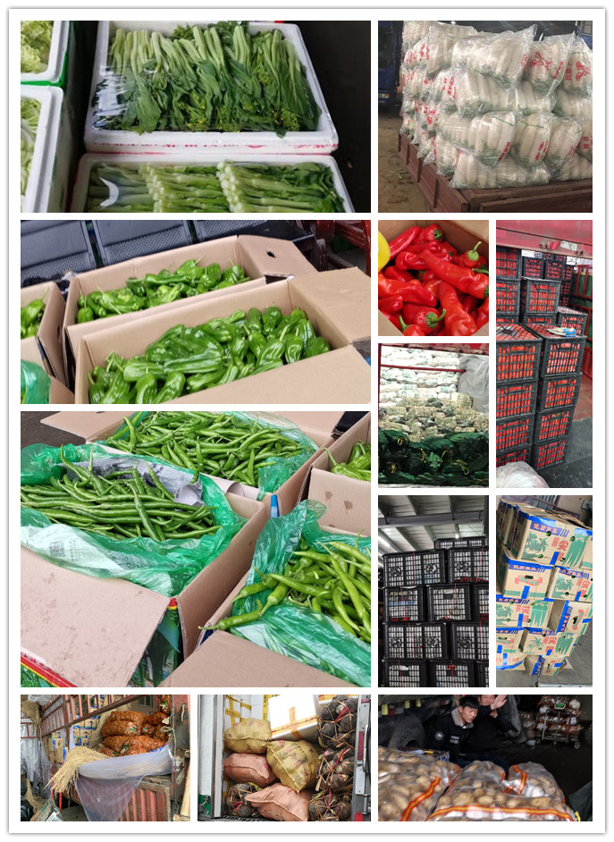 J9旗舰厅(中国区)官方网站