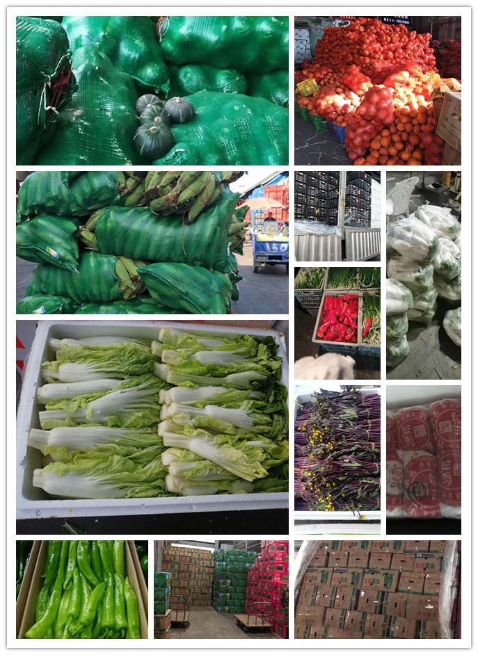 J9旗舰厅(中国区)官方网站