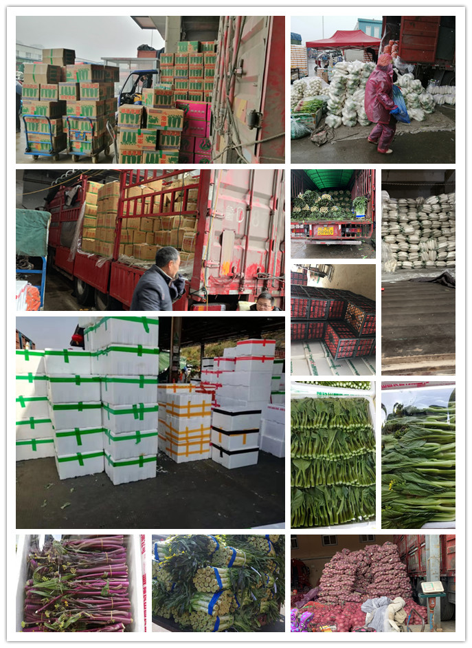 J9旗舰厅(中国区)官方网站