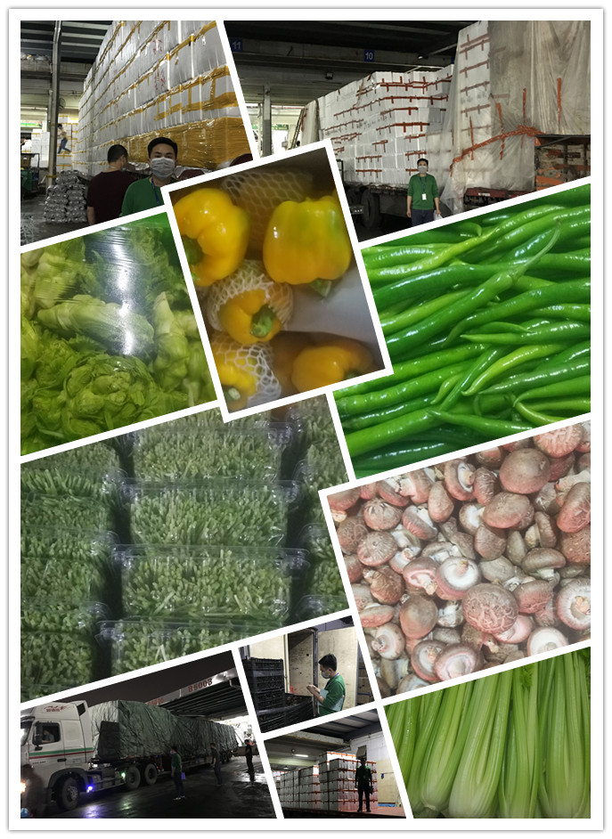 J9旗舰厅(中国区)官方网站