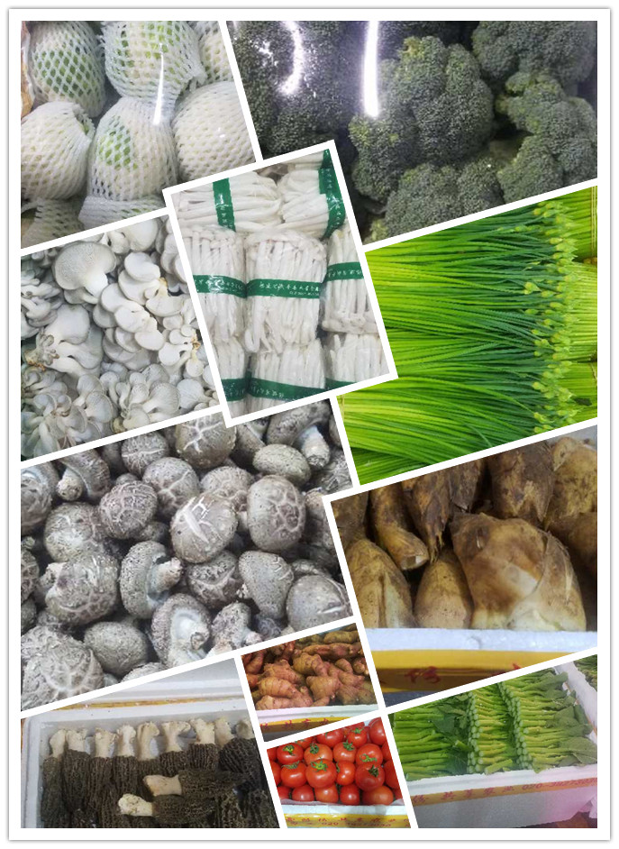 J9旗舰厅(中国区)官方网站