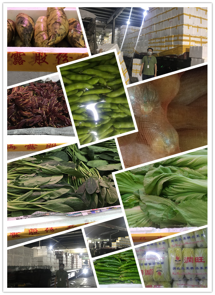 J9旗舰厅(中国区)官方网站