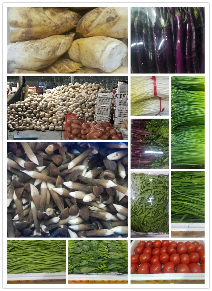 J9旗舰厅(中国区)官方网站