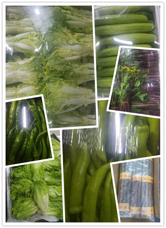 J9旗舰厅(中国区)官方网站