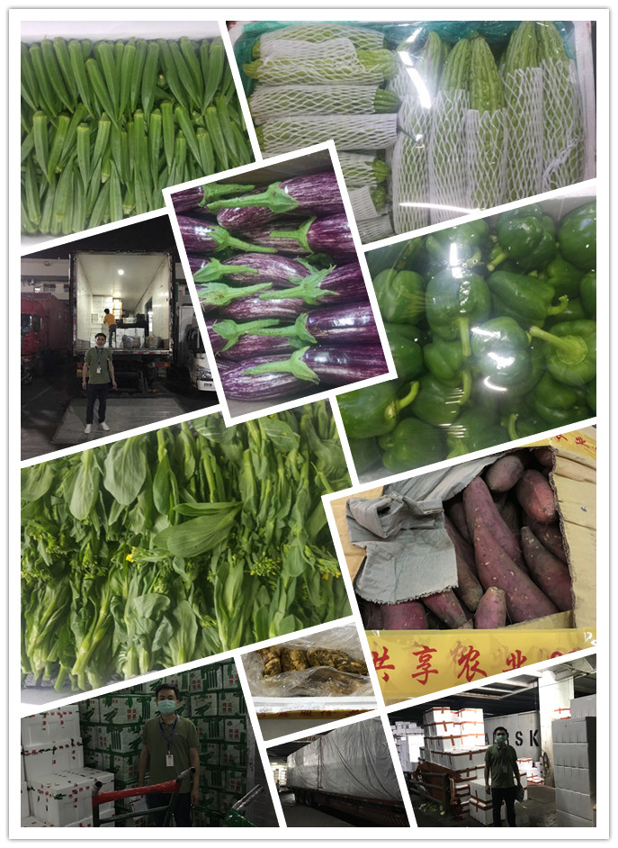 J9旗舰厅(中国区)官方网站