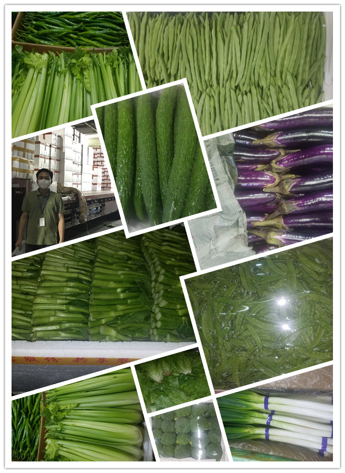 J9旗舰厅(中国区)官方网站