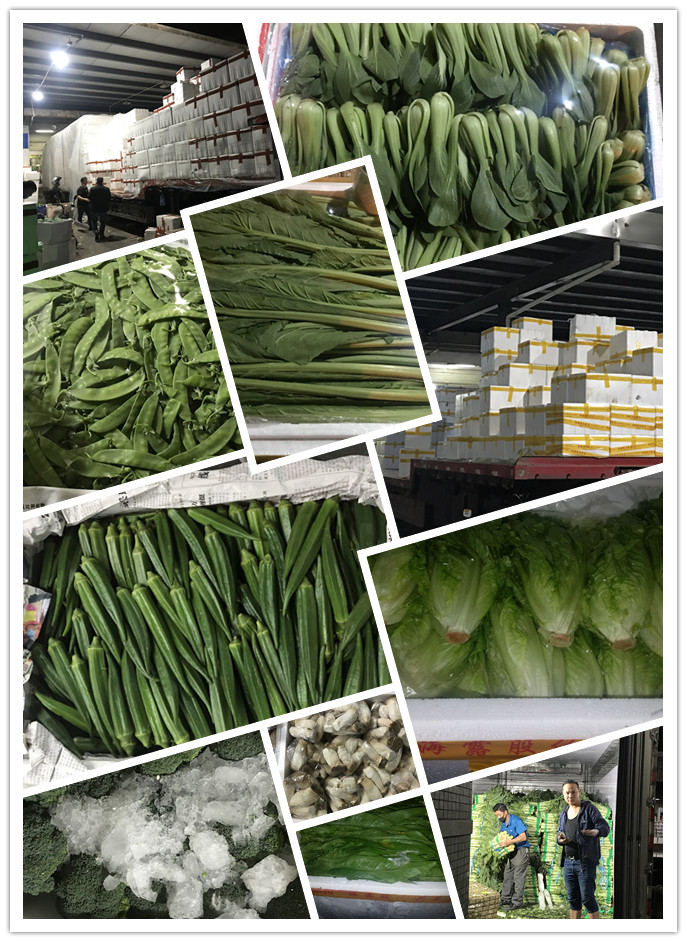 J9旗舰厅(中国区)官方网站