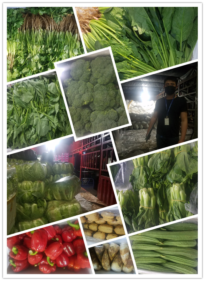 J9旗舰厅(中国区)官方网站