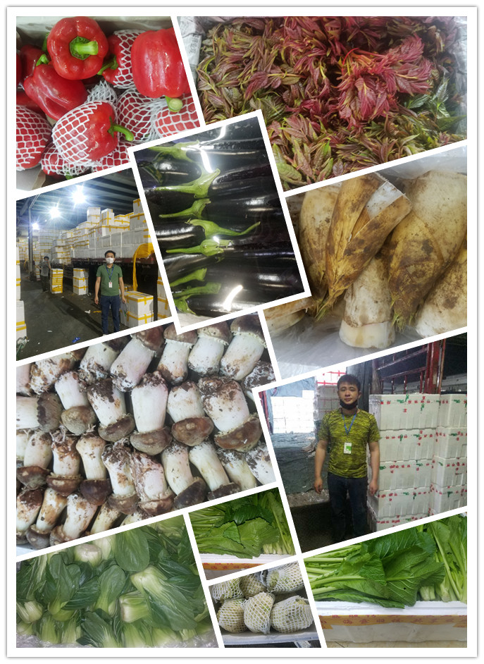 J9旗舰厅(中国区)官方网站