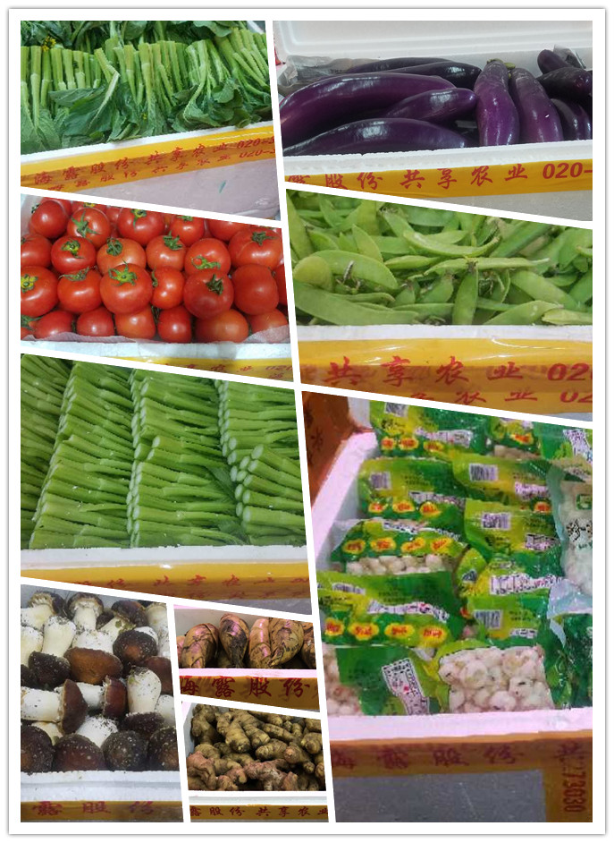 J9旗舰厅(中国区)官方网站