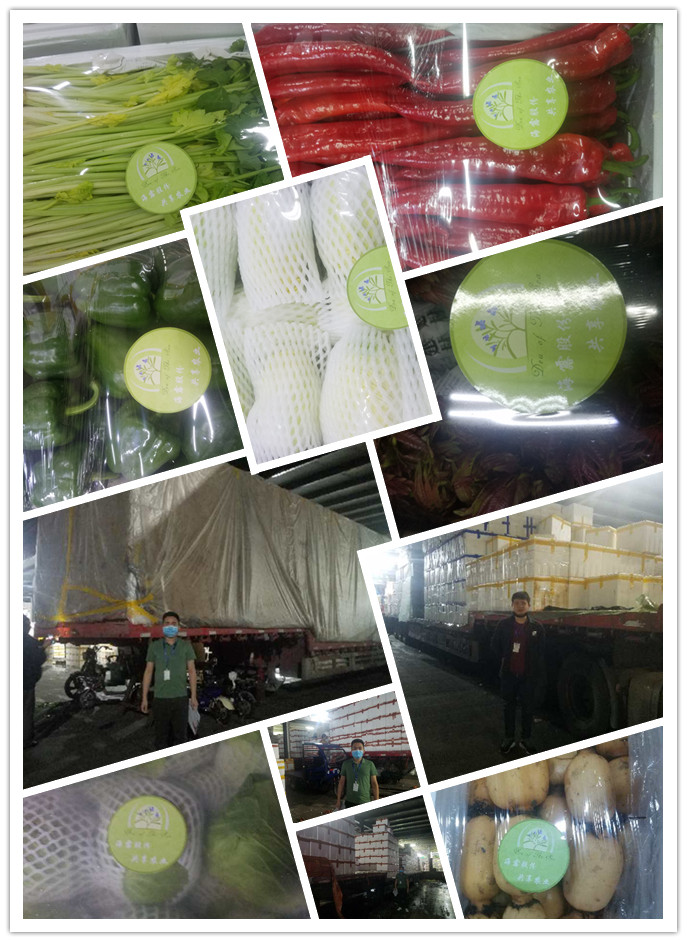 J9旗舰厅(中国区)官方网站