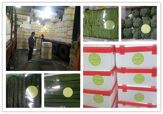 J9旗舰厅(中国区)官方网站