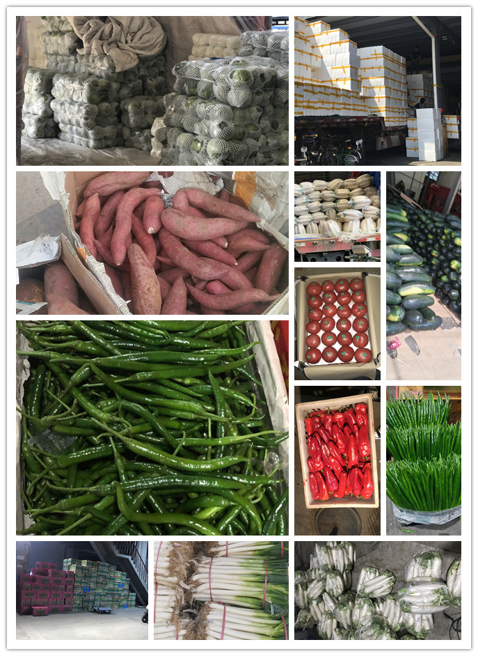 J9旗舰厅(中国区)官方网站