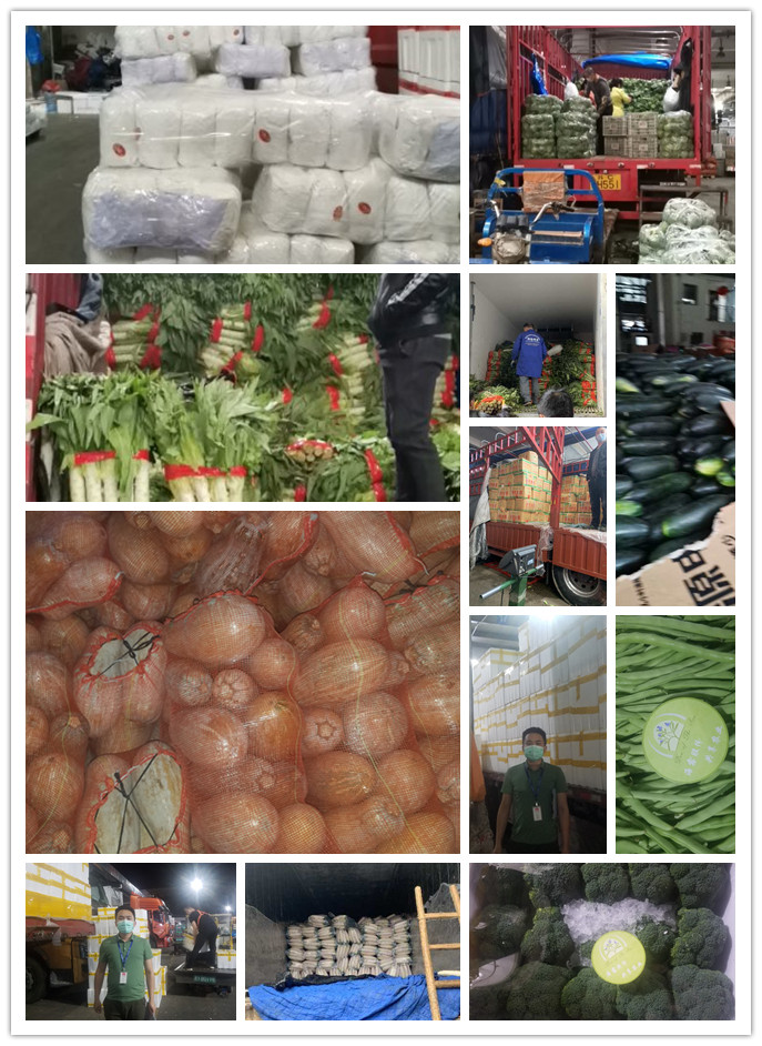 J9旗舰厅(中国区)官方网站