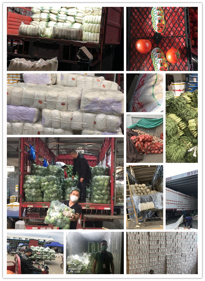 J9旗舰厅(中国区)官方网站