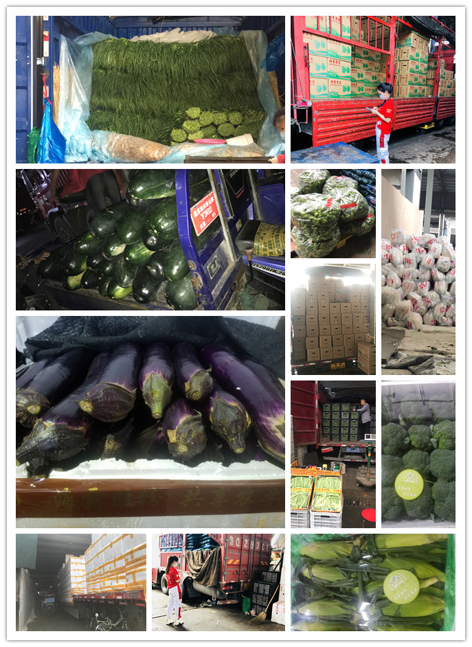 J9旗舰厅(中国区)官方网站