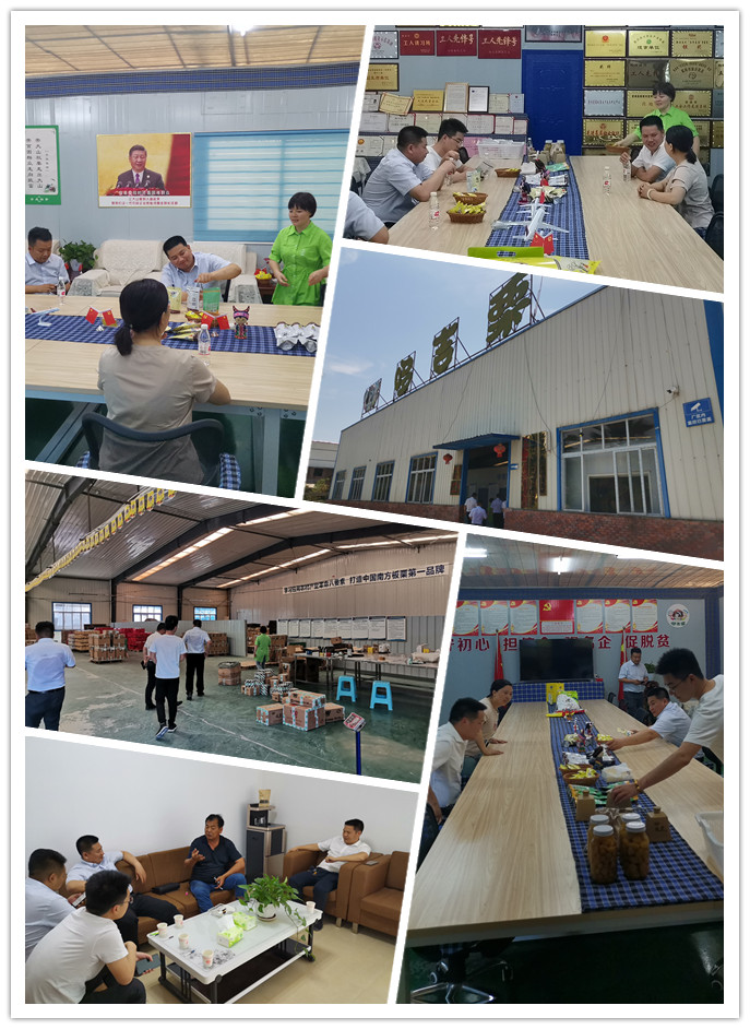 J9旗舰厅(中国区)官方网站