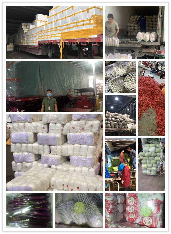 J9旗舰厅(中国区)官方网站