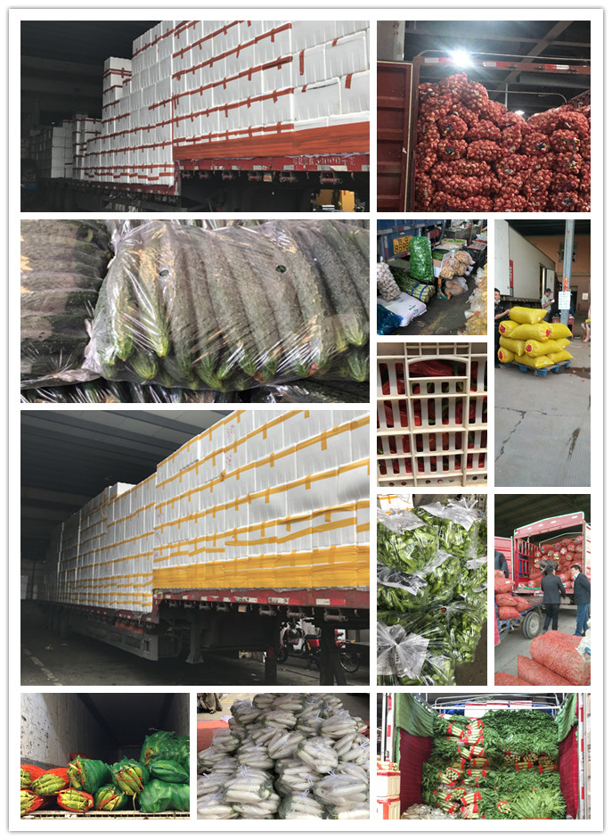 J9旗舰厅(中国区)官方网站