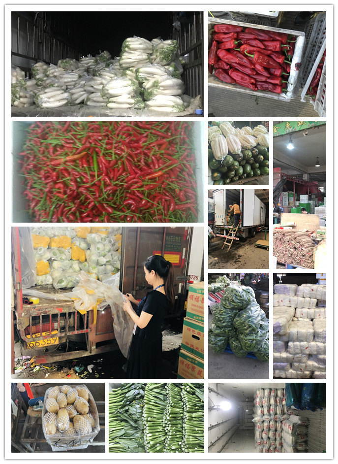 J9旗舰厅(中国区)官方网站