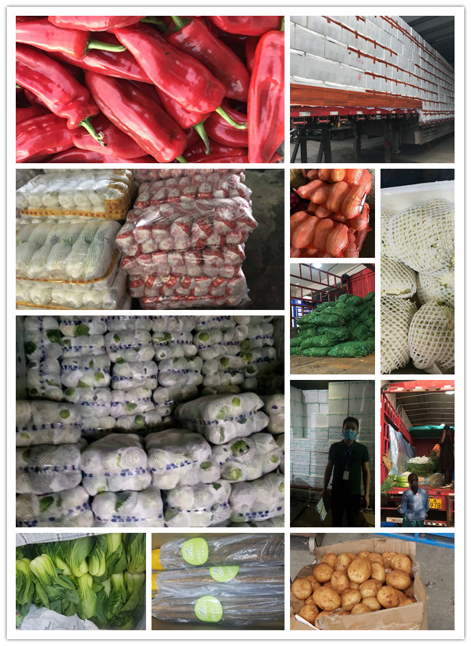 J9旗舰厅(中国区)官方网站