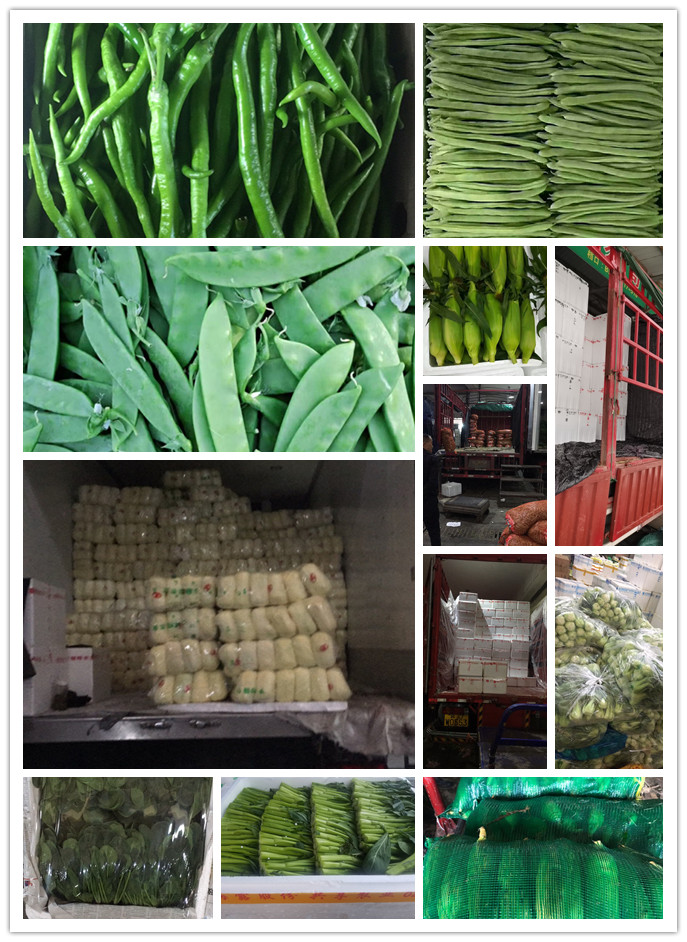 J9旗舰厅(中国区)官方网站