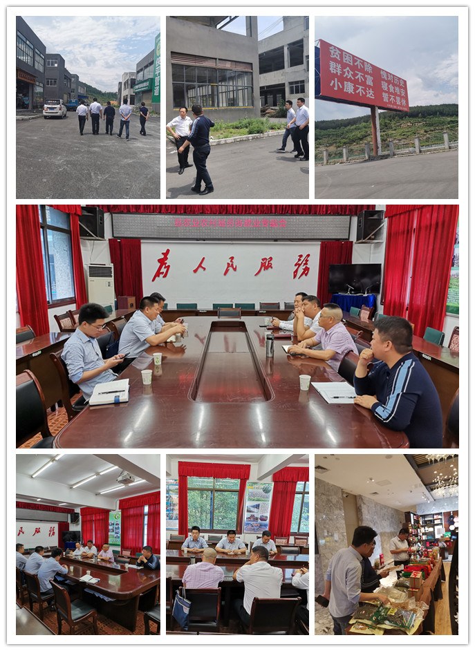 J9旗舰厅(中国区)官方网站