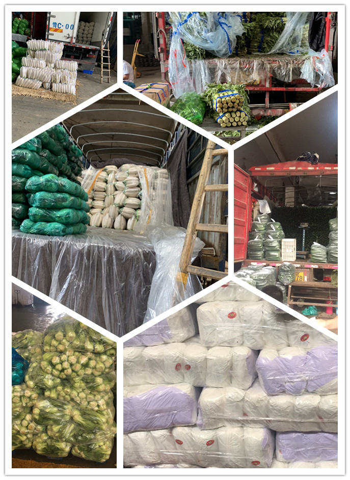 J9旗舰厅(中国区)官方网站