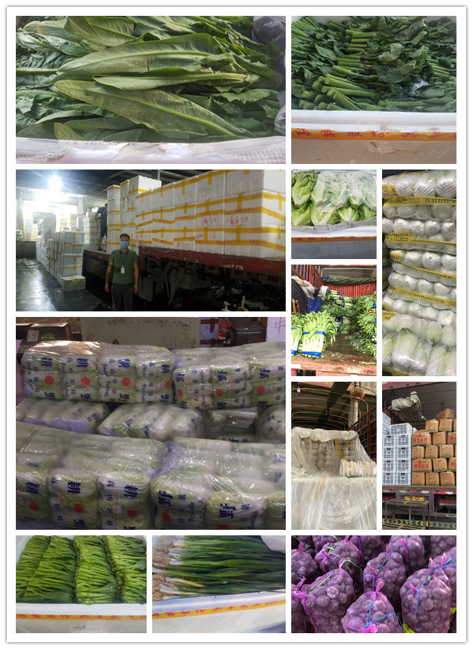 J9旗舰厅(中国区)官方网站