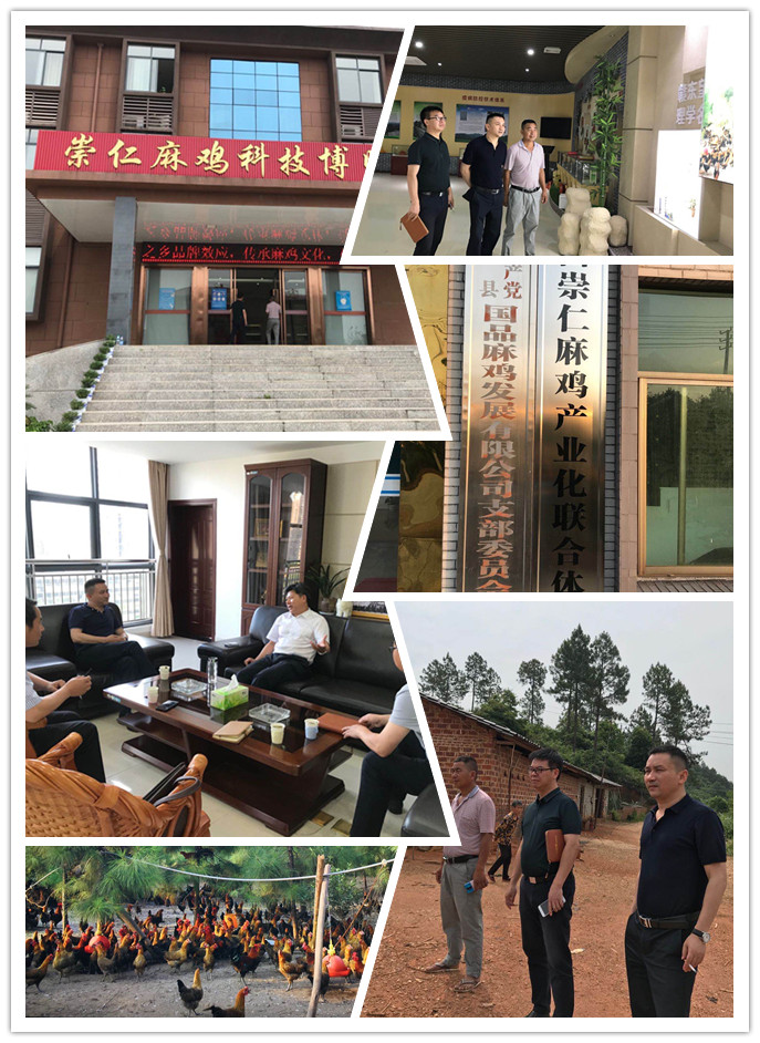 J9旗舰厅(中国区)官方网站