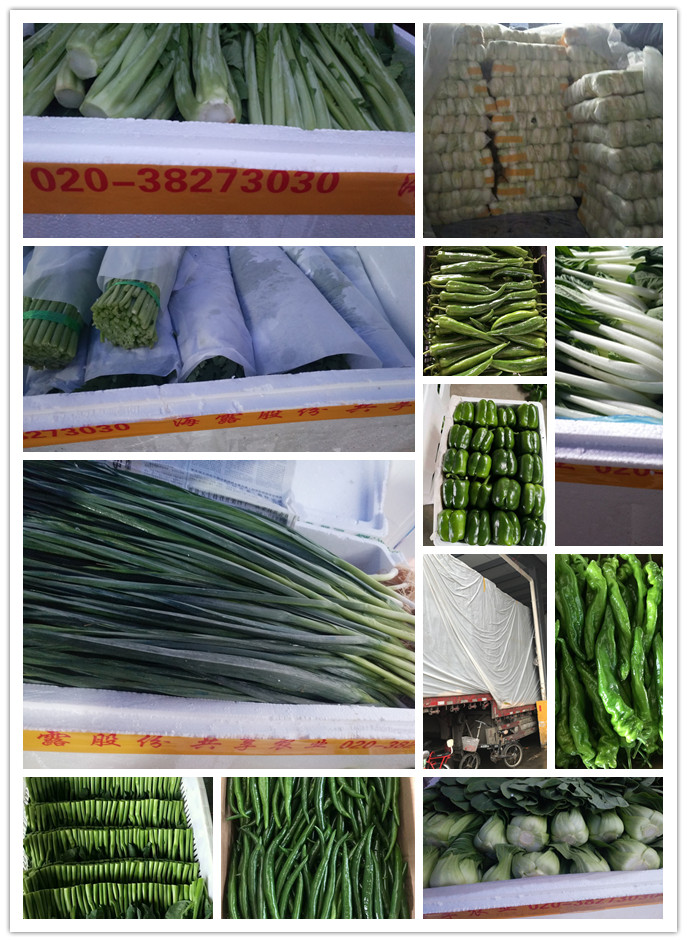 J9旗舰厅(中国区)官方网站