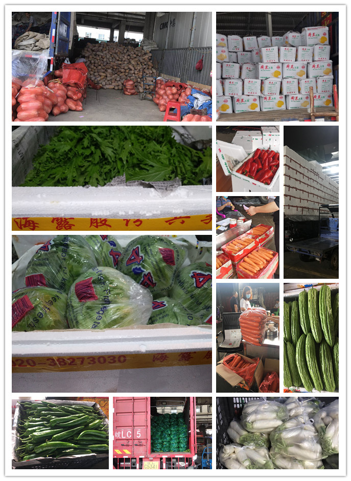 J9旗舰厅(中国区)官方网站