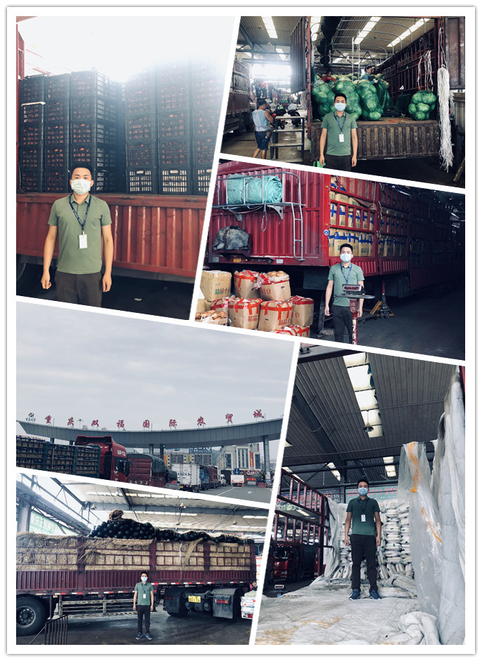 J9旗舰厅(中国区)官方网站