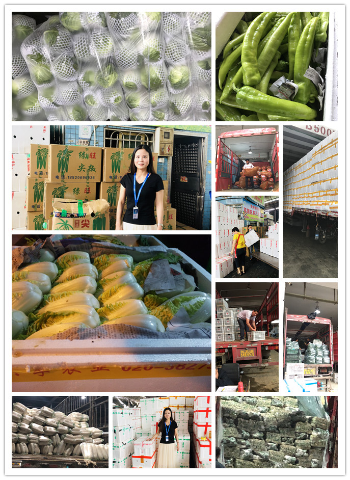 J9旗舰厅(中国区)官方网站