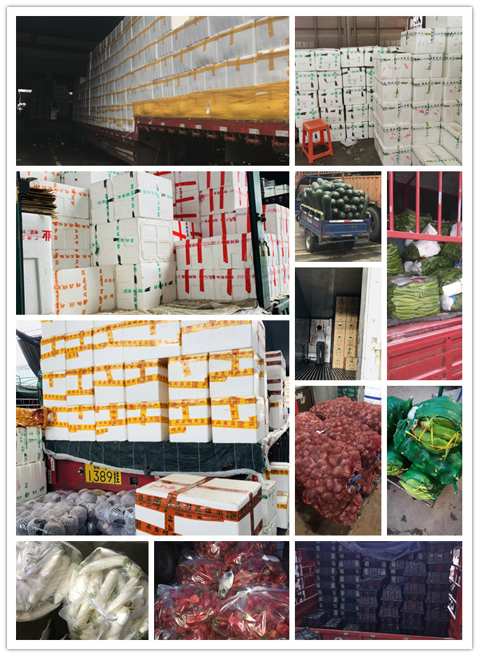 J9旗舰厅(中国区)官方网站