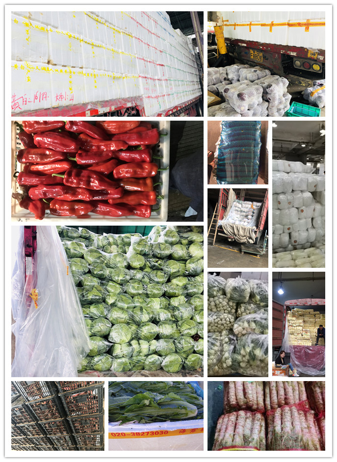 J9旗舰厅(中国区)官方网站