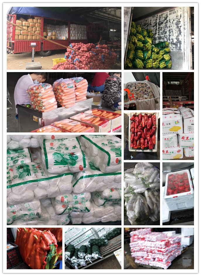 J9旗舰厅(中国区)官方网站