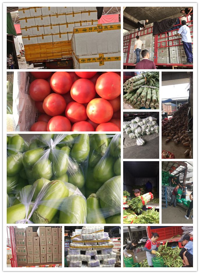 J9旗舰厅(中国区)官方网站